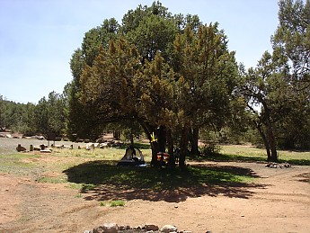 Tucson-to-Flagstaff-bicycle-tour-April-2