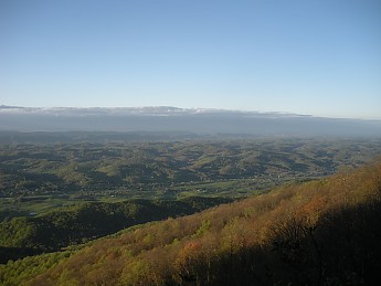 DSCN2385.jpg