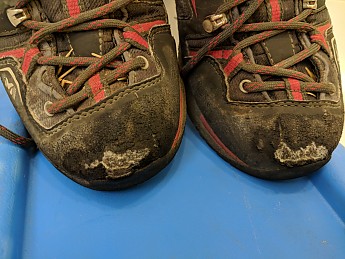 MVIMG_20180318_075936_small.jpg