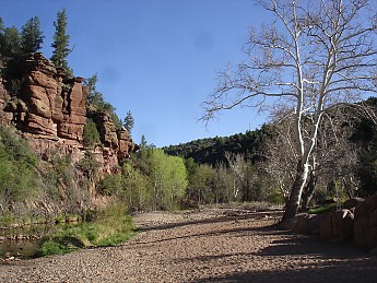 Tucson-to-Flagstaff-bicycle-tour-April-2