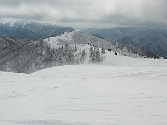 DSCN3476.jpg