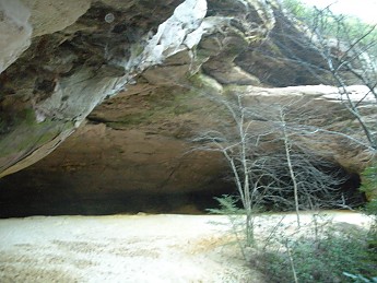DSCN2388.jpg