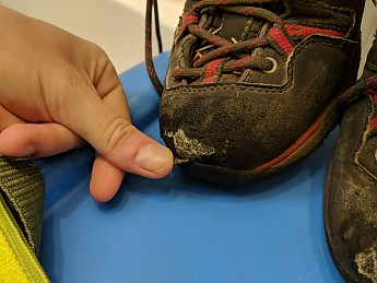 MVIMG_20180318_075942_small.jpg