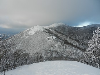 DSCN3485.jpg