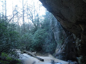 DSCN2391.jpg
