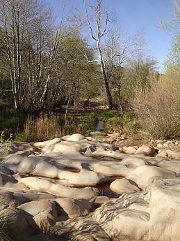 Tucson-to-Flagstaff-bicycle-tour-April-2