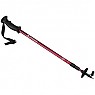 photo: Swiss Gear Hiking Pole