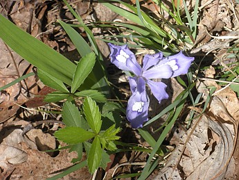 DSCN2398.jpg