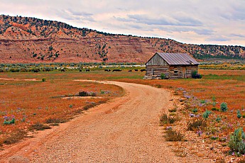 IMG_0977-Old-cabin-near-Tropic-Utah.jpg