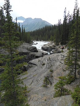 DSC02781.jpg