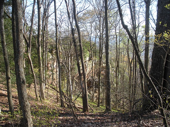 DSCN2395.jpg