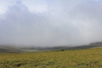 Fog-moving-in-from-the-Arctic-Ocean.jpg