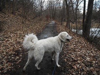 DSCF2062.jpg