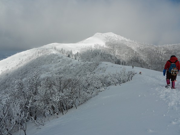 DSCN3460.jpg