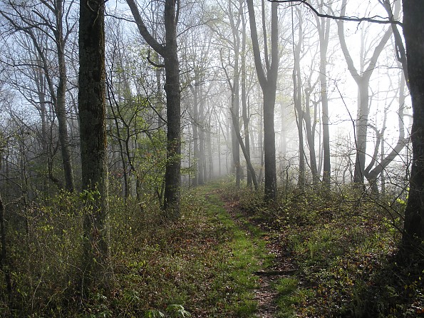 DSCN2367.jpg