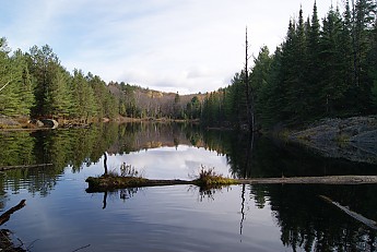 DSC02221.jpg