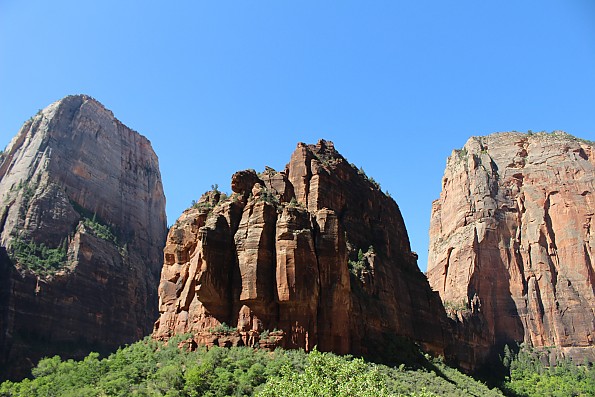 IMG_7339.jpg