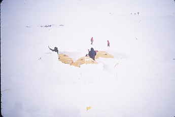d02064.jpg