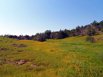 5-18-12-05.jpg