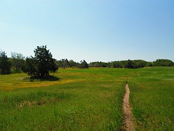 5-18-12-06.jpg