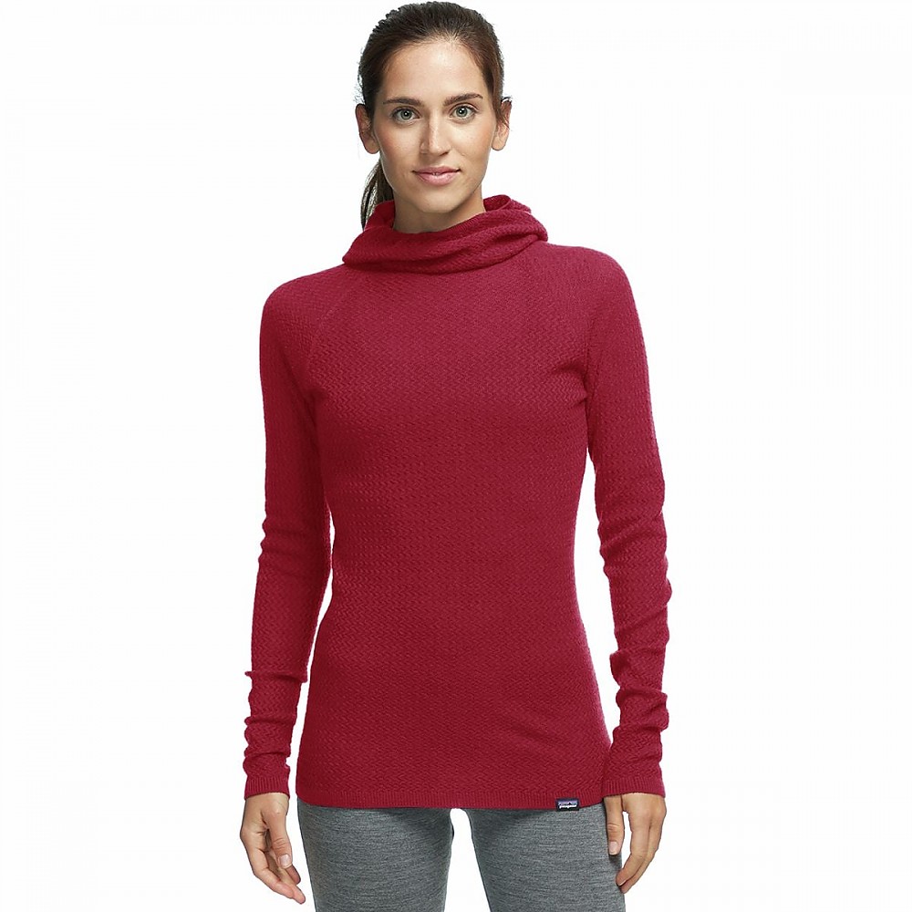 Patagonia Capilene Air Hoody Reviews Trailspace