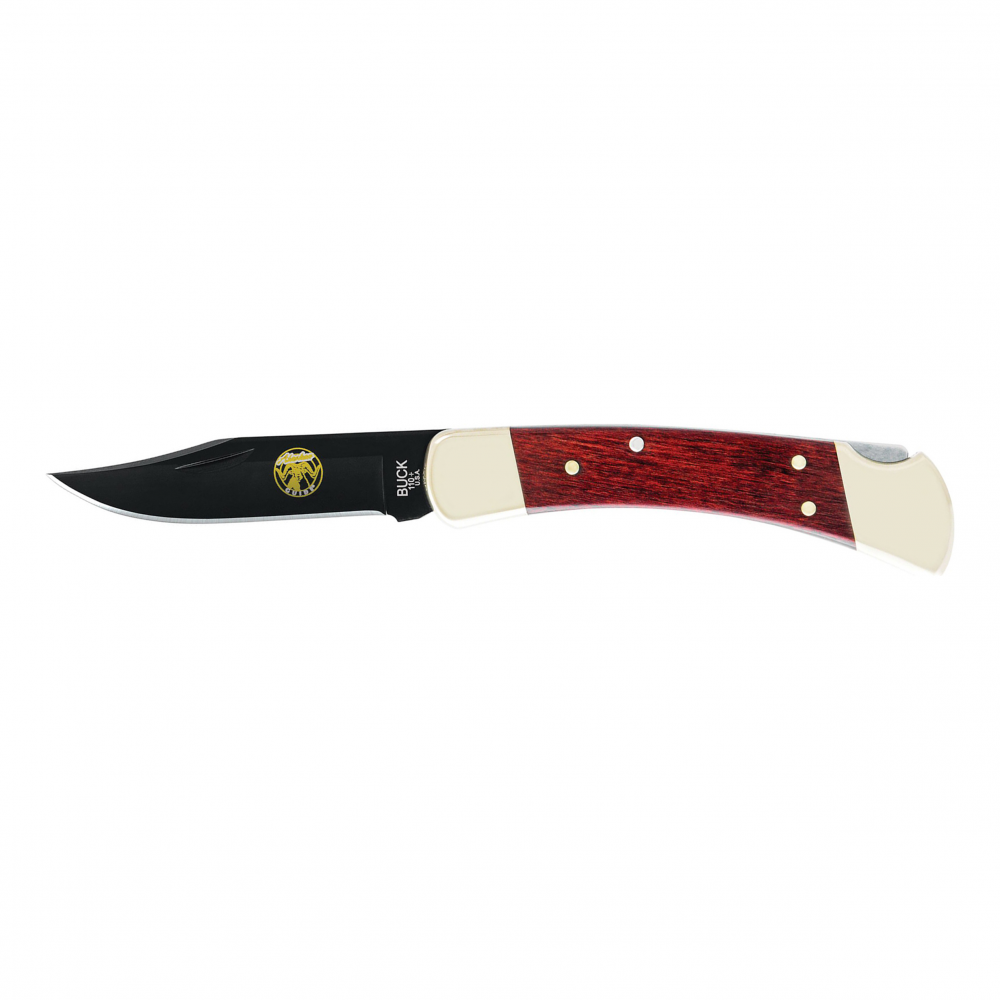 photo: Buck 110 Folding Hunter folding knife