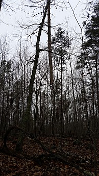 20170121_133246.jpg