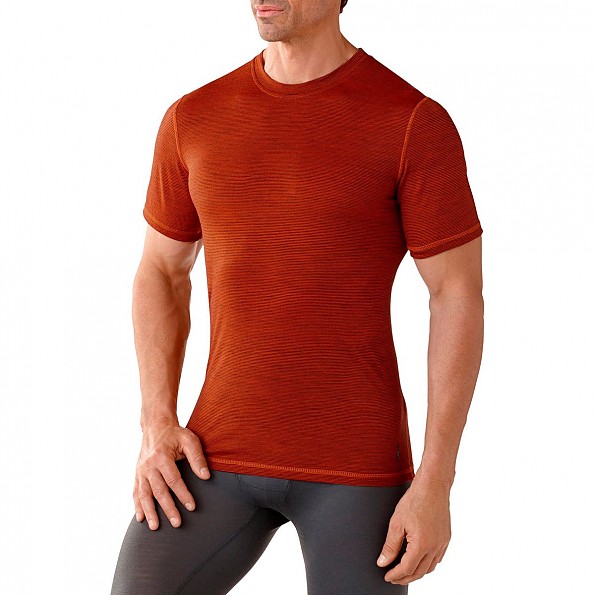 Smartwool Microweight Tee