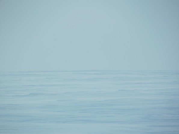 DSCF2238.jpg