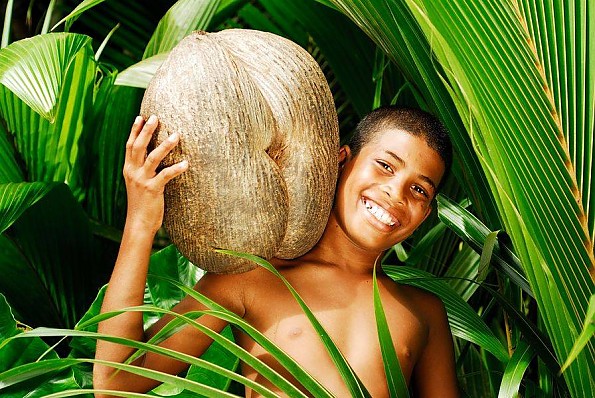 stb-coco-de-mer-040-Copia_3.jpg