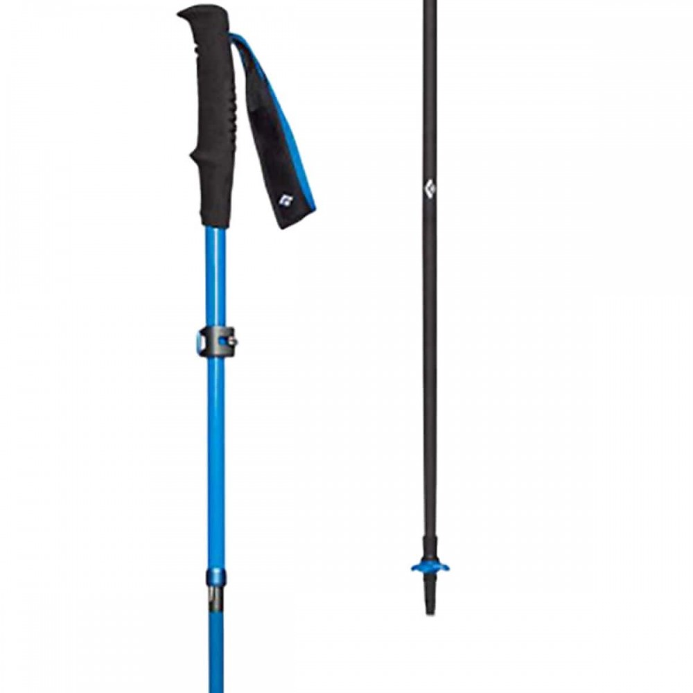 photo: Black Diamond Distance Carbon FLZ rigid trekking pole