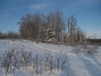 CE-Lee-8-December-2012-015.jpg