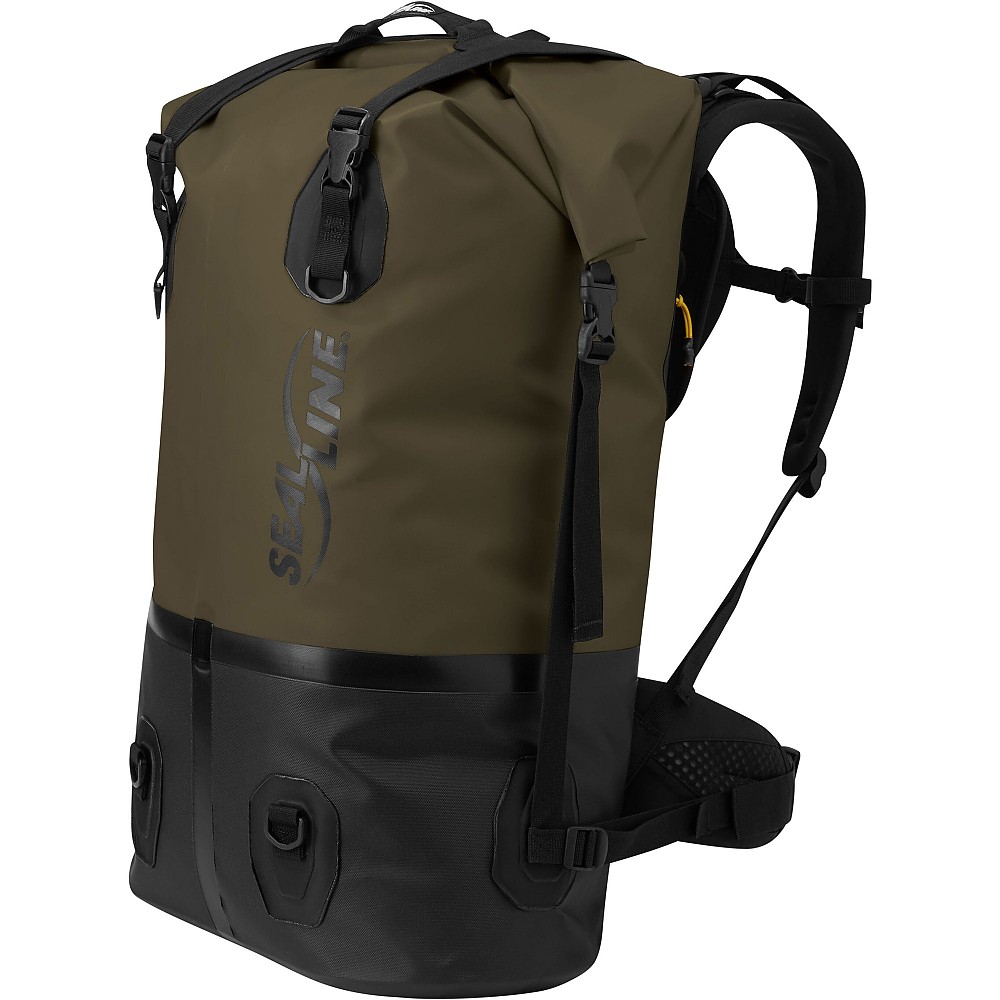 photo: SealLine Pro Dry Pack dry pack