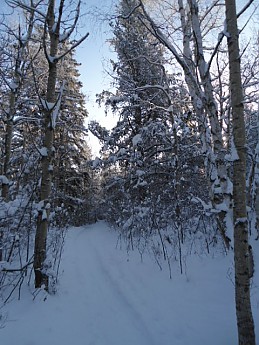 CE-Lee-8-December-2012-028.jpg