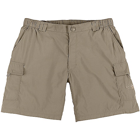 mens cargo shorts north face
