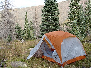 DSC07089.jpg