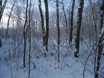 CE-Lee-8-December-2012-020.jpg