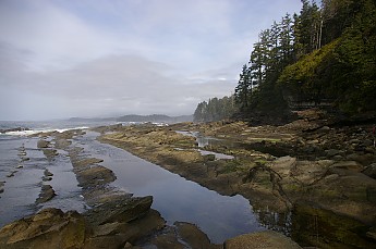 IMGP1266.jpg