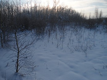 CE-Lee-8-December-2012-016.jpg