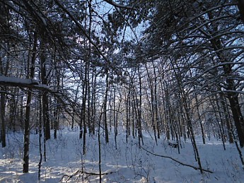 CE-Lee-8-December-2012-036.jpg