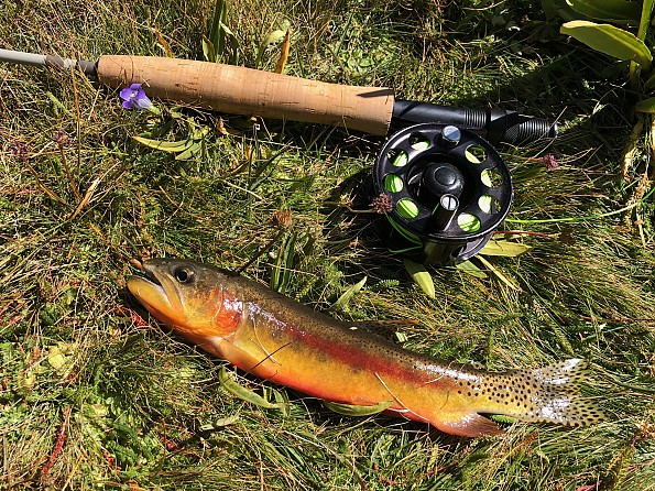 Cabela's Three Forks/Wind River Fly Combo