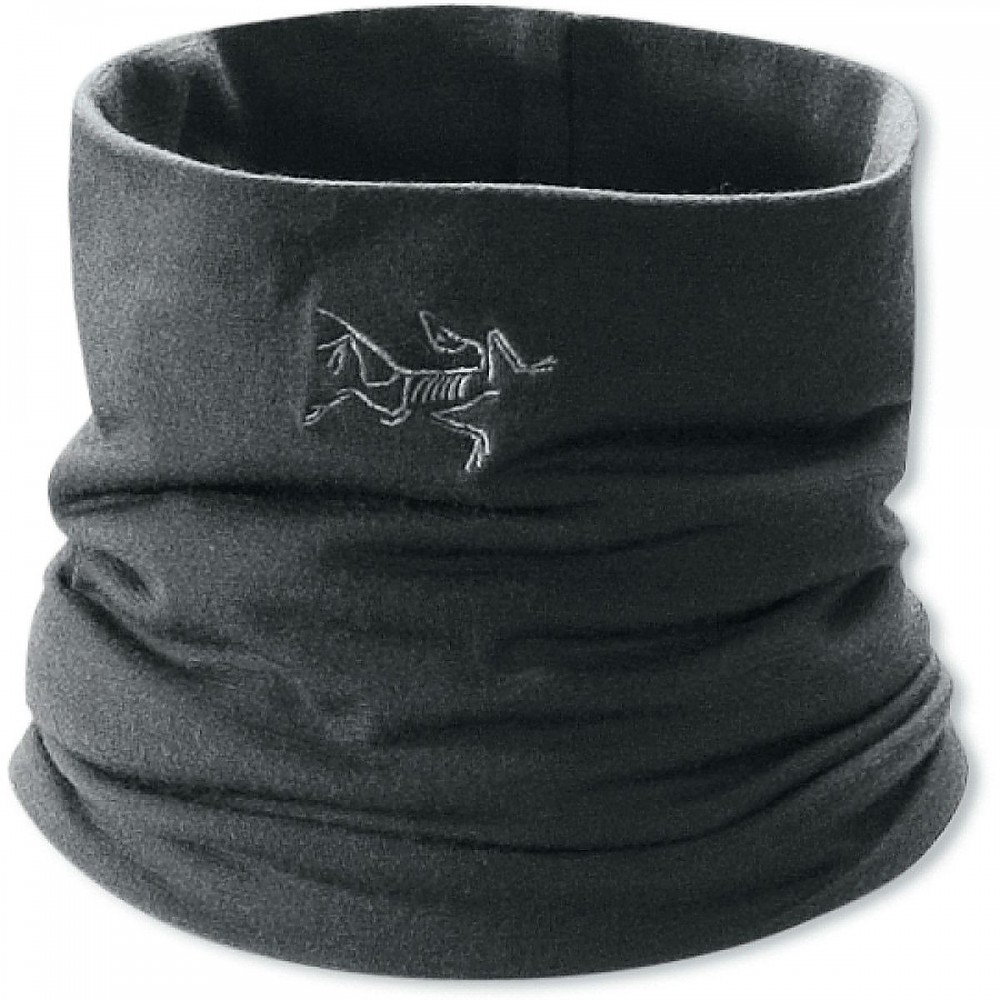 photo: Arc'teryx Rho LTW Neck Gaiter neck gaiter