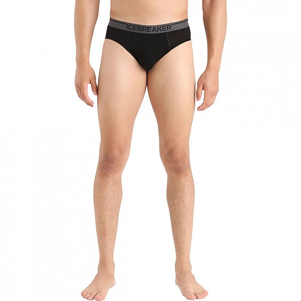 Icebreaker Anatomica Brief