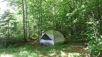 IMG_2852a.jpg