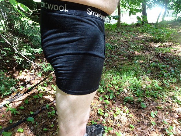 Smartwool Merino Boxer Brief Reviews - Trailspace