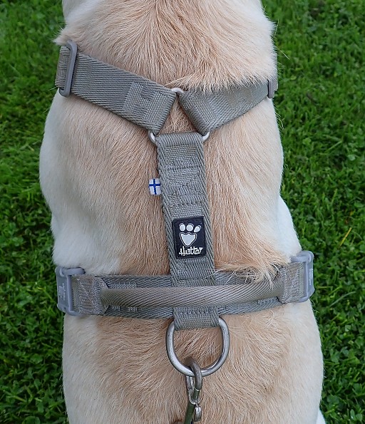 2025canoe45-and-play-harness-5080092.jpg