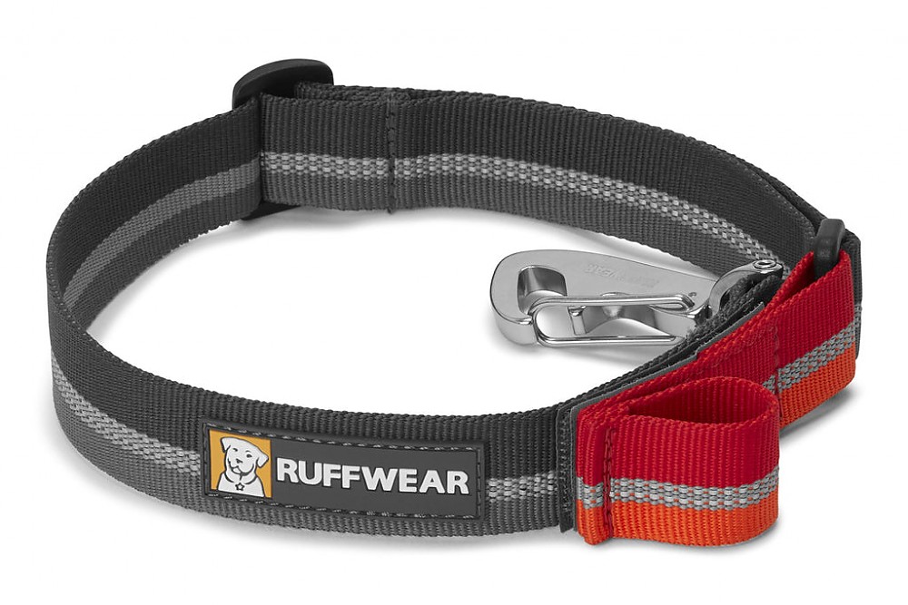 photo: Ruffwear Quick Draw Leash dog leash