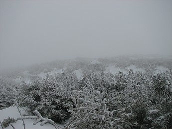 rime-ice-above-treeline.jpg