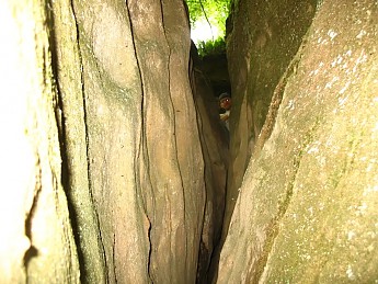 IMG_6970.jpg