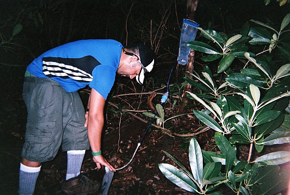 SAWYOR-PLATAPUS-FILTER-SETUP.jpg